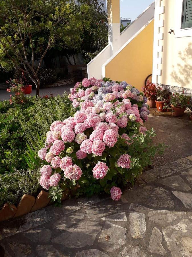 Villa Violeta Ksamil Exteriér fotografie
